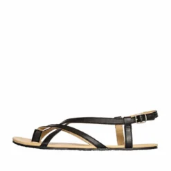 Sole Runner Ladies Rhea Sandal Black -Happy Little Soles Shop rhea sandal black